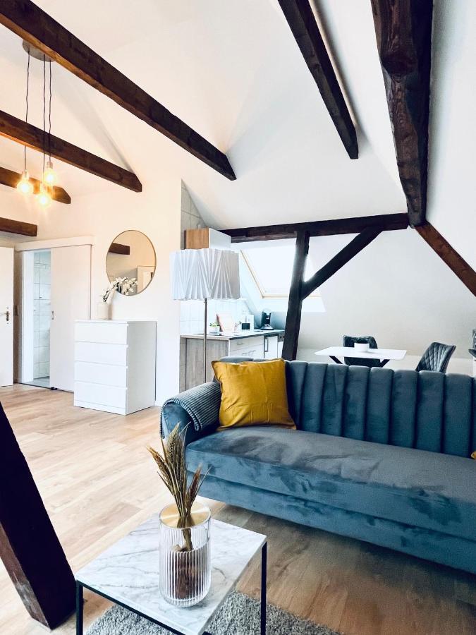 Cityapartment-Smarttv-Kitchen-Car Parking Space-Wlan Erfurt Luaran gambar